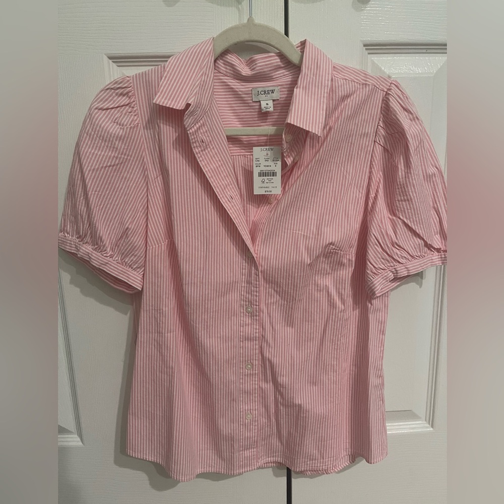 J. Crew Pink and White Striped Shirt